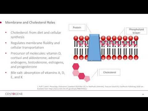 Video: En Terapi Med Miglustat, 2-hydroxypropyl-ß-cyclodextrin Og Allopregnanolon Gendanner Miltkolesterolhomeostase I Niemann-pick Sygdom Type C1