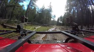 Outlaw Atv Trail 10-1-2016 On A 2Wd Bruin, Part 13