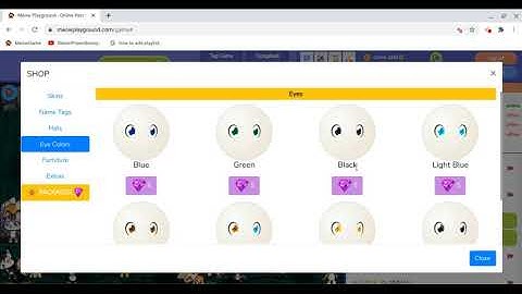 Meow Playground: Beginner
