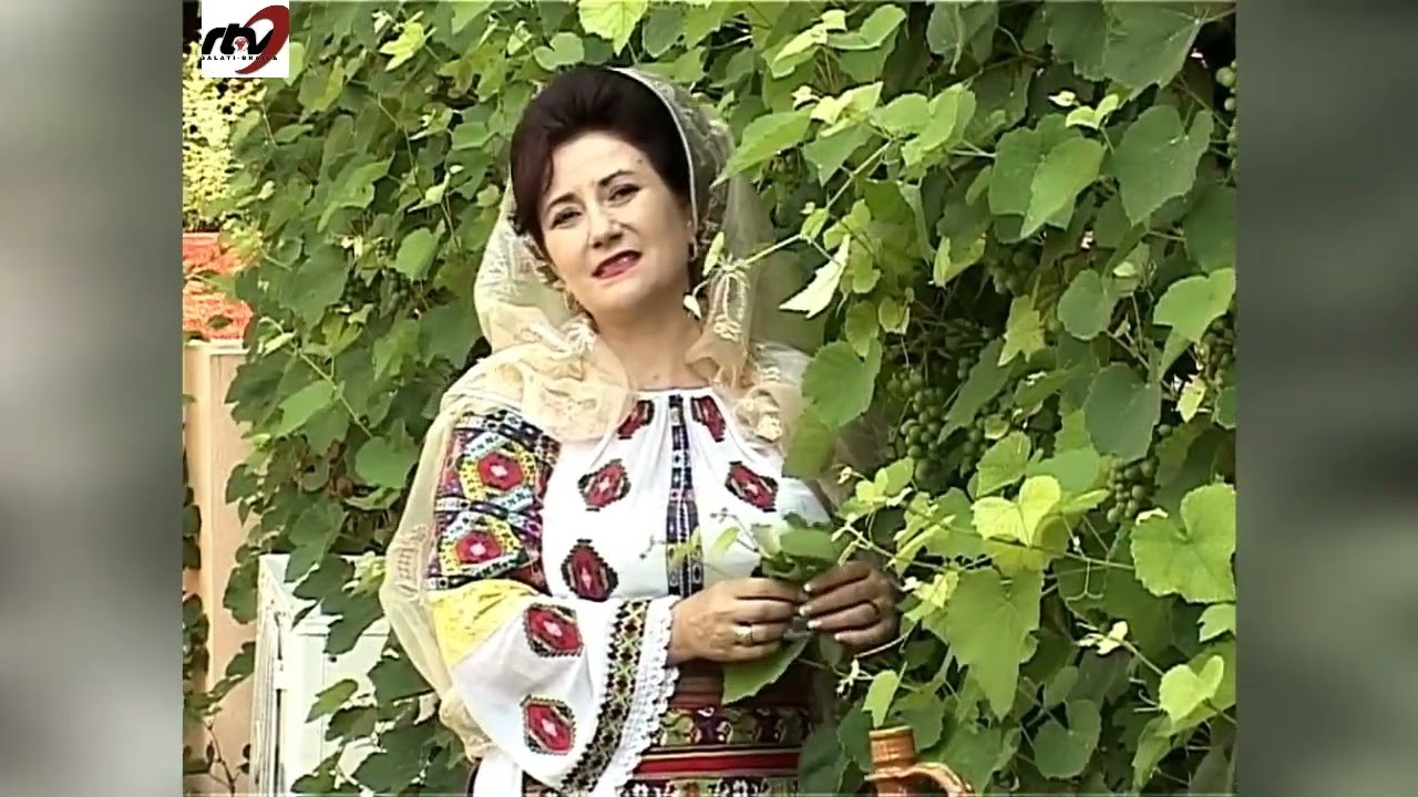 Gheorghita Nicolae - Maica, la casuta noastra