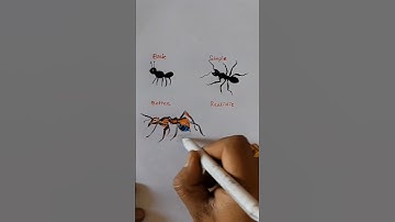 How to draw -Easy 3D Ant 🐜#art #drawing #shorts #howtodraw #easydrawing #quickdrawing #ants