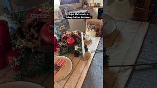 Doğal Malzemelerle Yılbaşı Sofrası Kuralım