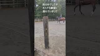 雨だけれどもがんばろう #オハナ #馬のトレーニング