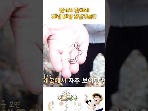 겨울 채집대결!! 기생충 연가시를 잡아라!