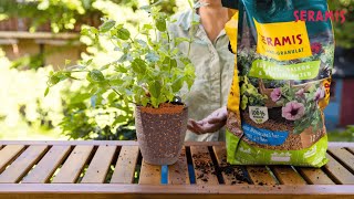 SERAMIS® Outdoor-Pflanz-Granulat für Beet-, Balkon- & Kübelpflanzen