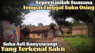 Inilah Awal Mula Kenapa Banyuwangi di sebut Kota S4ntet, Mengunjungi Desa adat Osing kemiren yg Asri