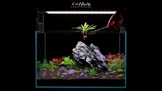 Planted Aquarium Setup With Aquario Neo screenshot 4