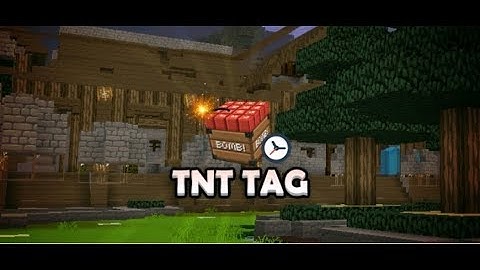 Lets Play Blockman Go Tnt Tag!