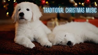 Traditional Christmas Music and Beautiful Puppies