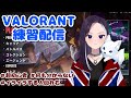 【VALORANT】早朝でもヴァロ練習！！！！！ #新人VTuber #超初心者 メンバー参加可能