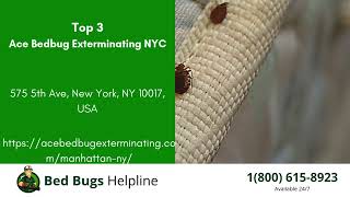 Top 3 Bed Bug Removal Companies in Boulder City