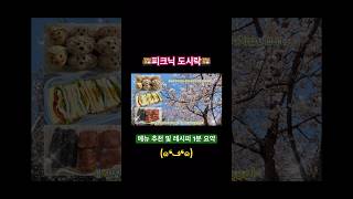 피크닉 도시락 메뉴 고민된다면 클릭💗