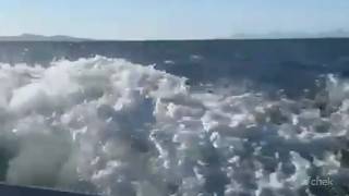 Comox Valley charter captain helps save two after boat sinks near Hornby Island
