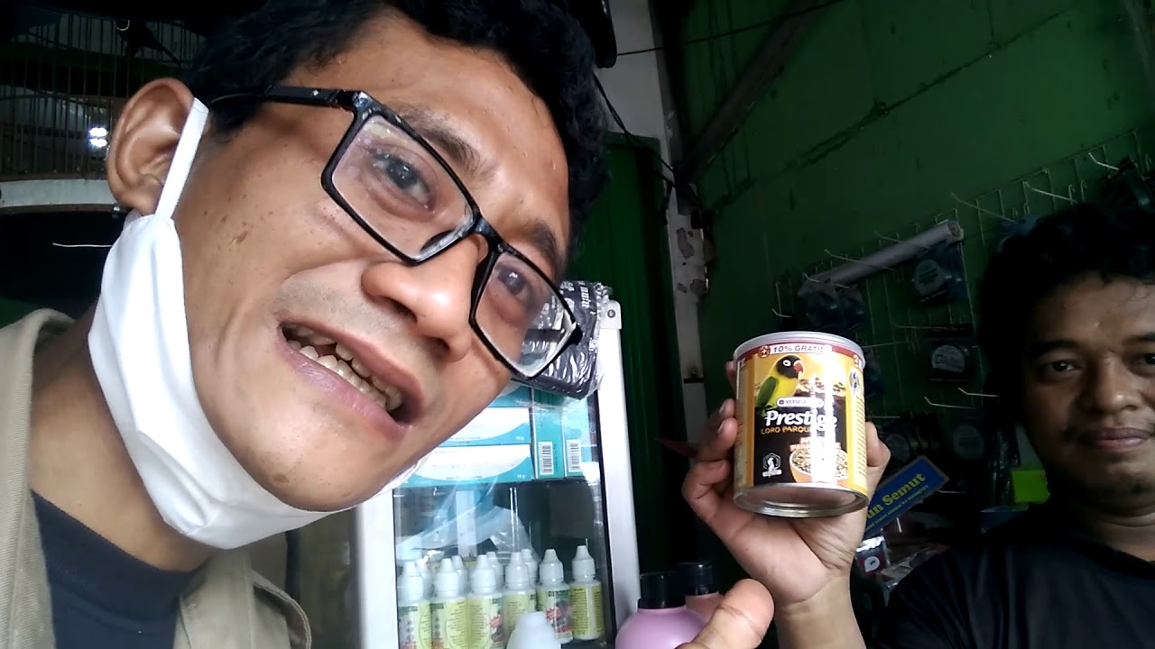 Membeli makanan burung Lovebird... 