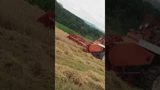 Zetva Jecma Zmaj 133 Sa Presom 2018