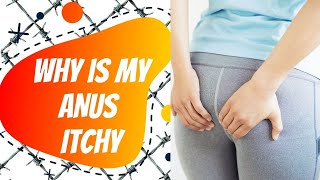 Why Is My Anus Itchy Itchy Anus At Night Itchy Anus Home Remedies Why Does My Anus Itch