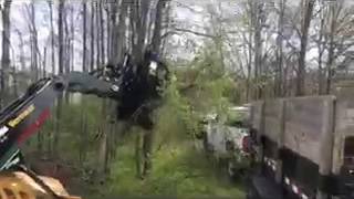 QUICK Claw mini Dumbing