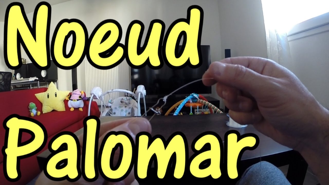 NOEUD PALOMAR ! PALOMAR KNOT 🇺🇸