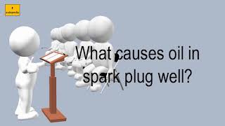 What Causes Oil In Spark Plug Well?