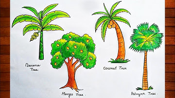 How To Draw Different Types Of Trees|Mango Tree,Banana Tree,Coconut Tree,Palmyra Tree Drawing Easy
