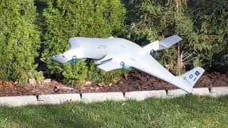 Griffin first flight, hover tests.