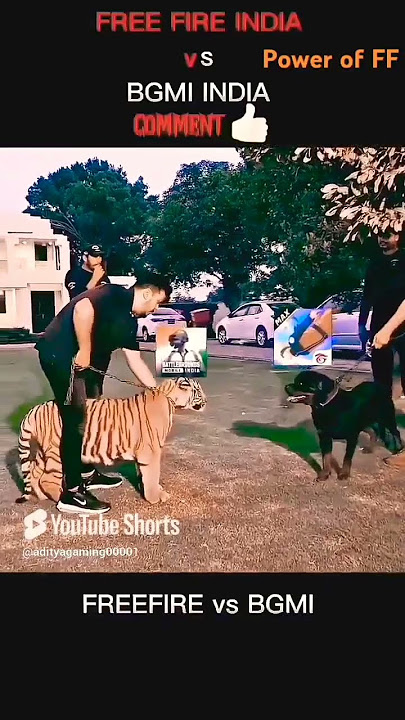 FF Dog vs PUBG Tiger 🐅 😱😱🗿🗿#freefire #pubg#ternding  #shortvideo #gaming @vlogeradityaaa