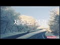 チョ·ヨンピル 歌 : あの冬の喫茶店 済州島の雪景色 1年になったコロナで もうどこを行き来することもできない このごろ歌でも鑑賞して見る.