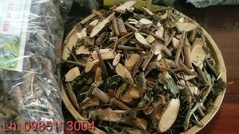 Cây An Xoa có tác dụng trị bệnh gì? Công dụng CHỮA BỆNH GAN