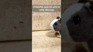 Famous Things Hamsters Hate! - Unsafe Pet Products 🐹😳⚠️ PT. 2 Net Worth