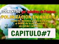 Polinizacion en Latinoamerica - Apicultores Unidos - Capitulo 7