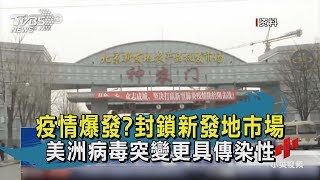 【TVBS新聞精華】202000615 十點不一樣 疫情爆發封鎖新發地市場  美洲病毒突變更具傳染性