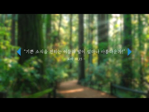 영상썸네일