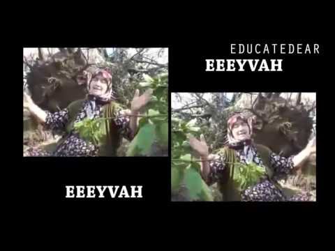 Hortum Gören Teyze (educatedear remix)