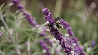 Hotel Organico en el Ajusco