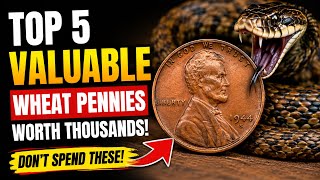 Wheat Pennies You Must Check NOW! | Rare Lincoln Cent Coins That Made Ordinary People Rich Overnight