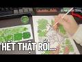 Đã Muộn Rồi | Coloring &amp; Review: Tôi Dần Nhận ra Nhưng Không Còn Em