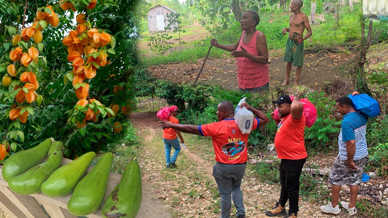La vida del Campo en Republica Dominicana