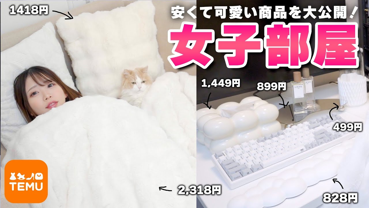Introducing the best products I bought on a bargain online store