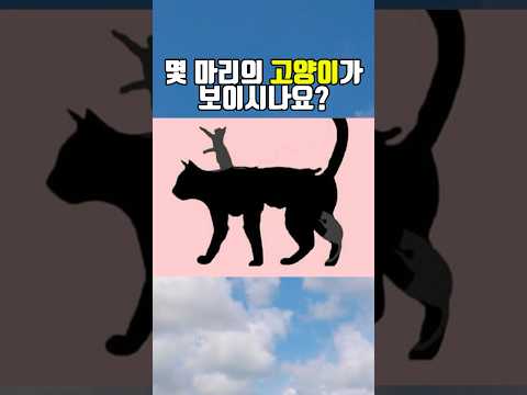 나의 정신연령은?