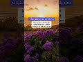قال قد أوتيت سولك ياموسى اللهم كما اتيت موسى سؤله فانتي سؤلي إنك على كل شئ قدير
