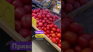 Дешевше чим на опт😱 ОДЕСА ПРИВОЗ 🍆🥒🫑🍅
