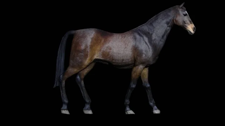 Animation 3ds Max - Locomotion Animal Horse Eating