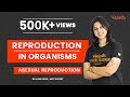 Reproduction in Organisms Part-1 | Asexual Reproduction | NEET Biology Class 12 Chapter 1 | Vedantu