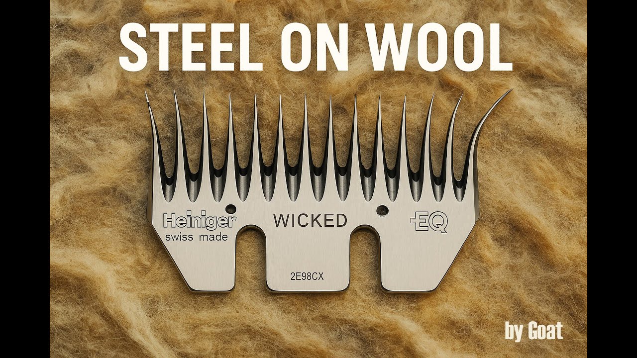 Ver STEEL ON WOOL By GOAT en YouTube Ver STEEL ON WOOL By GOAT en YouTube