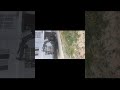 Wheel Track Dual Mode Vehicle for All Terrain Transport and Off Road Logistics