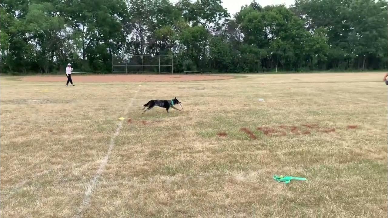 updog-challenge-spaced-out-ben-rimbey-psycho-suzi-105-youtube