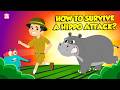 Are Hippopotamus Dangerous? 🦛 How to Survive Hippo Attack? | Hippo Bite Force | Dr. Binocs Show