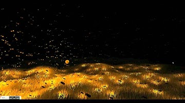 Fireflies