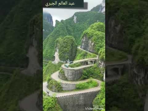 القارئ عبدالعالم جبري 