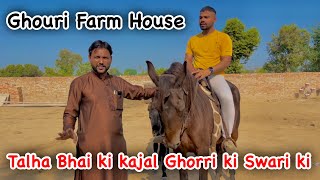 Ghouri Farm House Pr Kajal Ghouri ki Swari ki || Ghouri Farm House || Talha Ghouri ||Zain Ul abideen by Zain Ul Abideen 7,907 views 4 months ago 12 minutes, 59 seconds